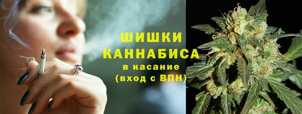 ALPHA PVP Новозыбков