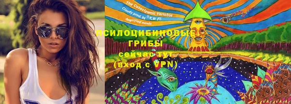 каннабис Новодвинск