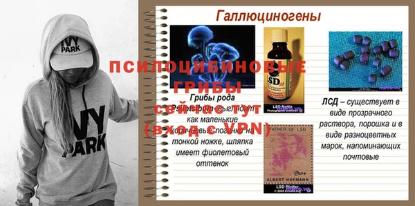 ALPHA PVP Новозыбков