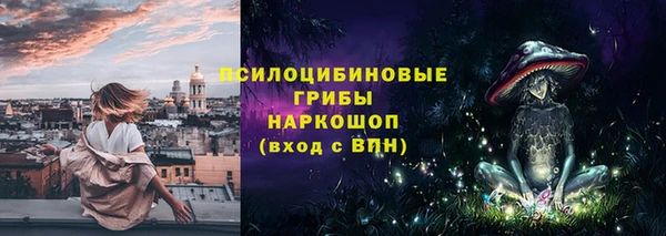 ПСИЛОЦИБИНОВЫЕ ГРИБЫ Горняк