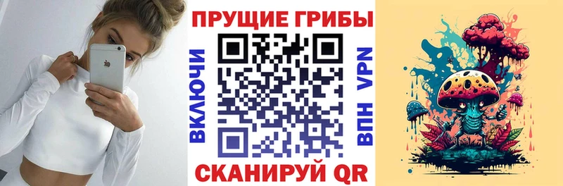 Псилоцибиновые грибы GOLDEN TEACHER даркнет сайт Пошехонье